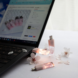 【2025年春新作】桜色メモリーズMk.Ⅲ(桜メモリType-Cモデル) 32~128GB 本物の桜の花びらを使用 12枚目の画像