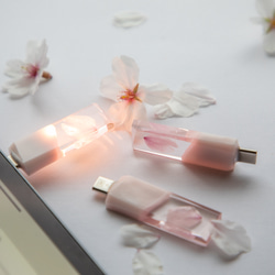 【2025年春新作】桜色メモリーズMk.Ⅲ(桜メモリType-Cモデル) 32~128GB 本物の桜の花びらを使用 10枚目の画像
