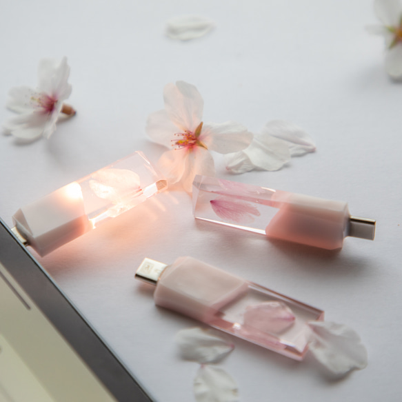 【2025年春新作】桜色メモリーズMk.Ⅲ(桜メモリType-Cモデル) 32~128GB 本物の桜の花びらを使用 10枚目の画像