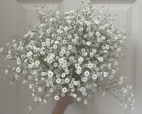 fcc407c874140dbe9294dd6207f9a4