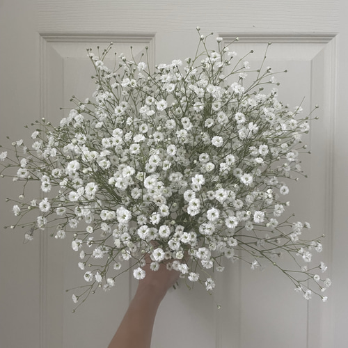 baby's breath bouquet かすみ草ブーケ 生花 カスミソウ 切り花