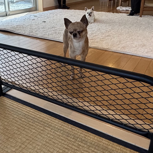 たにやんアメリカンフェンス風　バリケード　間仕切り　パーテーション アメリカンフェンス風 バリケード 間仕切り パーテーション 1200