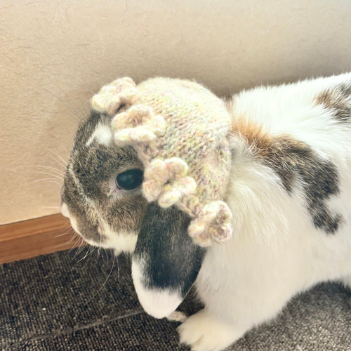 お花のボンネット うさぎ・ペット・ぬいぐるみ ペット服・アクセサリー
