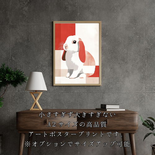 Red Passion - ホーランド・ロップ・ラビット No.1】うさぎ・ウサギ