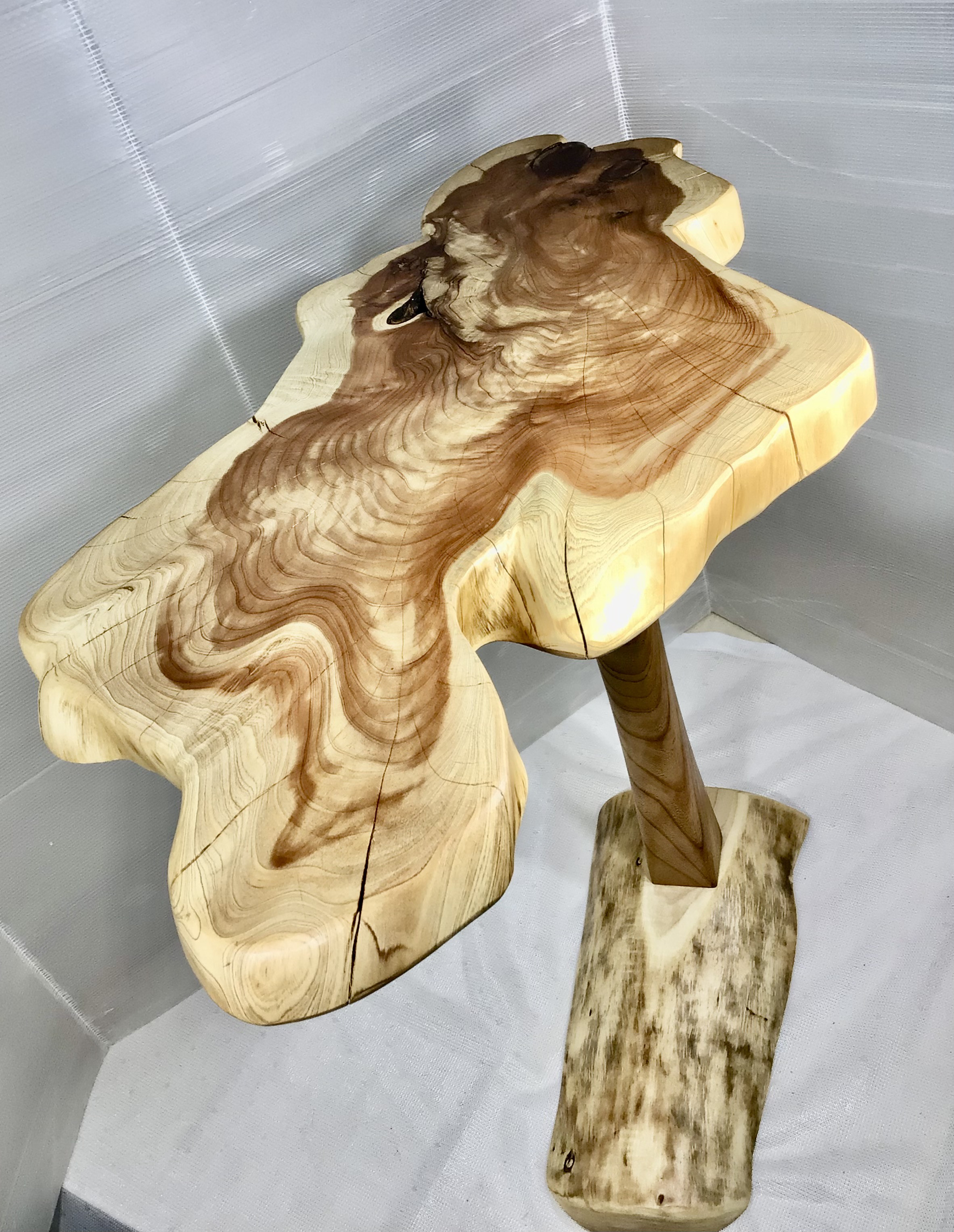 カイズカイブキ　切り株　植木台　サイドテーブル　丈夫なキャスター付き