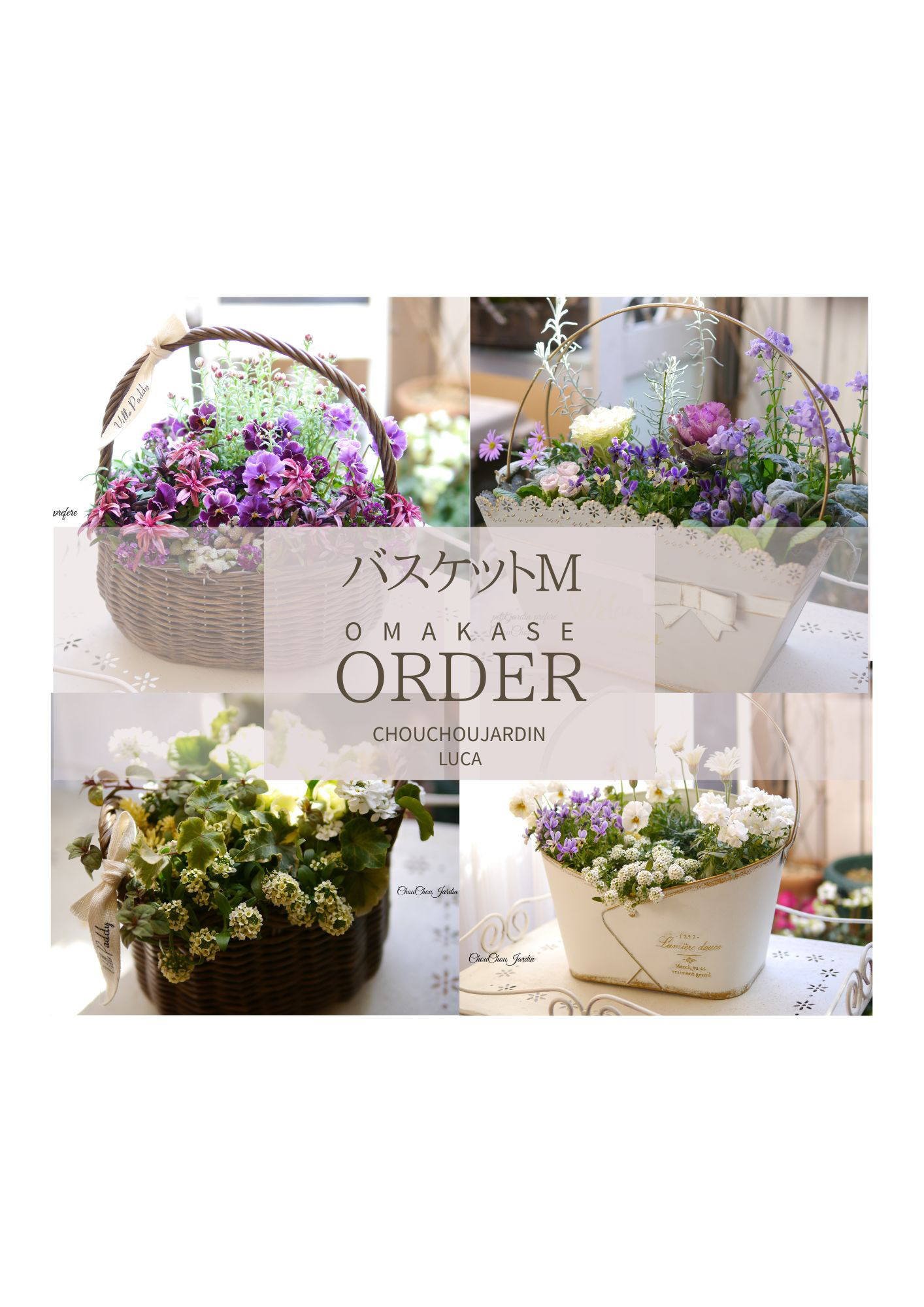 寄せ植え　アレンジメント M  受注制作　オーダー　おまかせ 　プレゼント　ガーデニング　花　母の日　バスケット