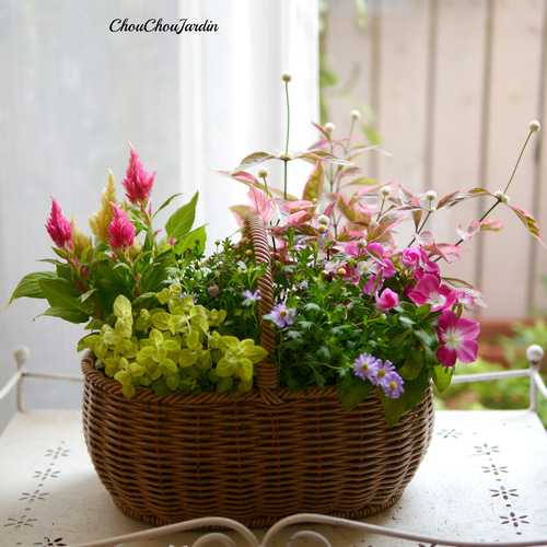 オーダーページミニチュア花のアレンジメント 開店・オフィス移転などフォーマルなお祝いに【カラードアレンジメント