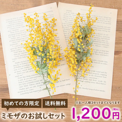 アクリル コースター （サークル） キット 【2点セット】 キット