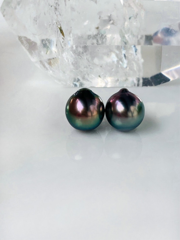 南洋黒蝶真珠イヤリング(バロック/18K) 南洋黒蝶真珠イヤリング