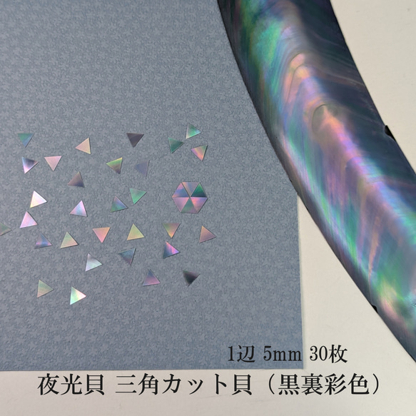 夜光貝」螺鈿細工用の三角貝（裏黒彩色）／カット貝アクセサリーパーツ