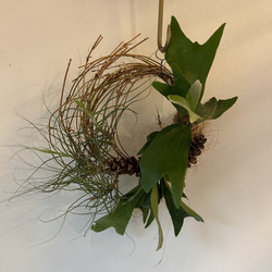 森の香りたっぷりXmasフライングボール リース モモノキ 通販 18437809