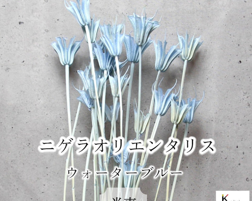 c354021a8032d24102a53c774d29c6