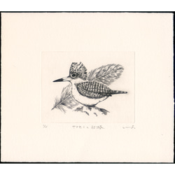 楓理沙作　シルクスクリーン版画猫と小鳥 楽天市場】楓理沙・猫と小鳥(絵画・版画） : 絵画生活