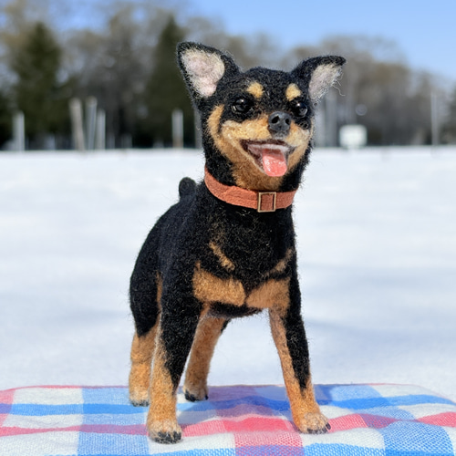 元気っ子✨️】ミニピン【縦12.5cmx横11cm】羊毛フェルト犬 羊毛