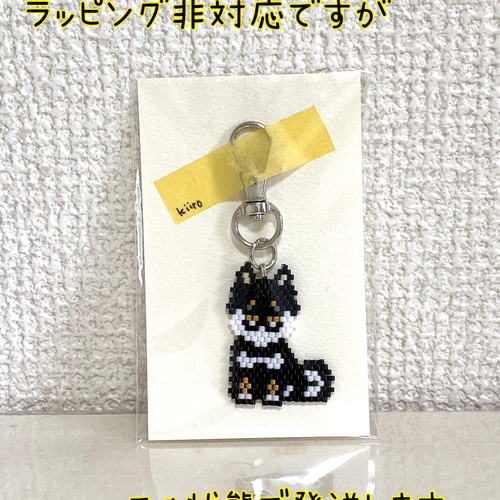 ★るうたん品★チャーム☆ビーズマスコット☆トイプー☆ヨーキー☆マルチーズ他 Amazon.co.jp: S5 トイプードル マルチーズ シーズー 犬の毛