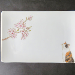 桜と猫のスンスン角皿 手描き 中皿 neko opera 通販 19128847｜Creema