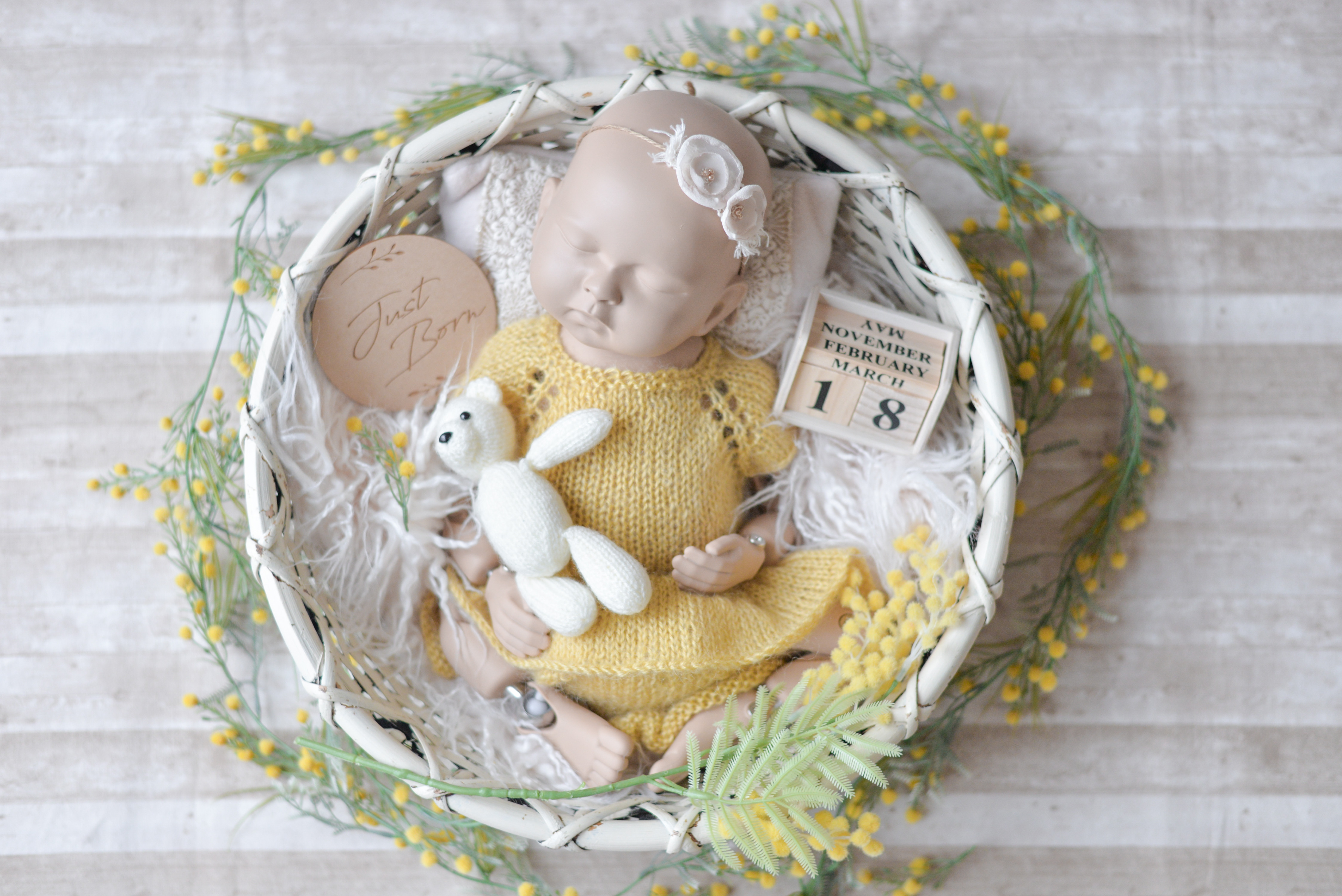 ＜２泊３日レンタル＞自宅で撮れるニューボーンフォトセット③｜現役フォトグラファー監修・説明書付き・片道送料無料