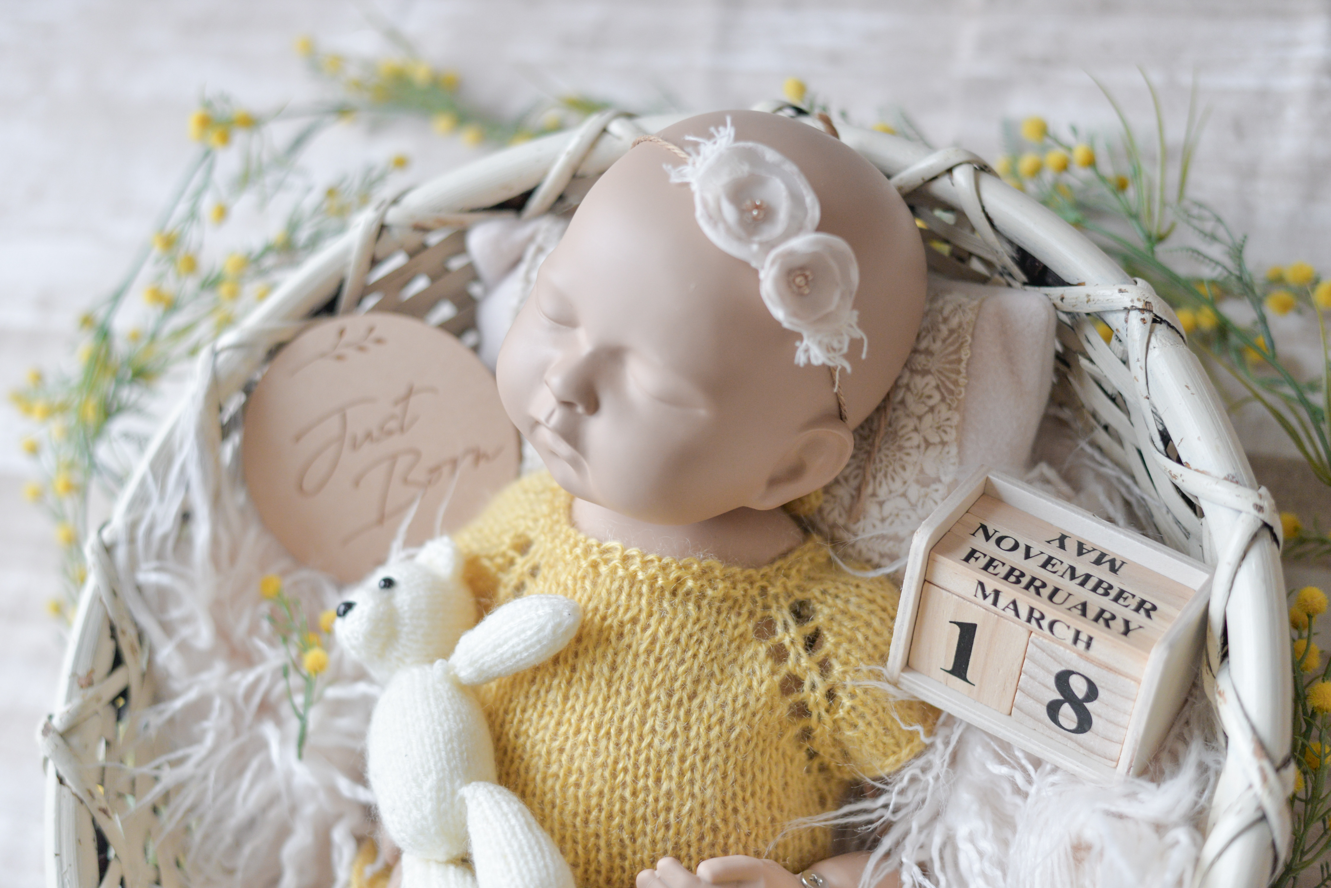 ＜２泊３日レンタル＞自宅で撮れるニューボーンフォトセット③｜現役フォトグラファー監修・説明書付き・片道送料無料