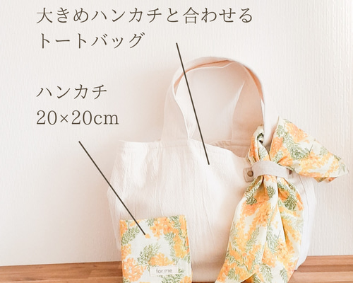 33ef6c7509aa9a9fe6f24a22c8c79a