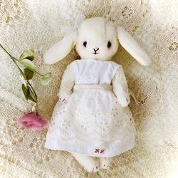 可愛い物好きさんのための幼いお顔のテディうさぎ垂れ耳うさぎの