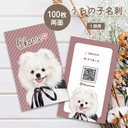 ネコちゃんブローチ✩.*˚オーダーページ 可愛いだけじゃだめですか？なアイドル猫ちゃんブローチができ