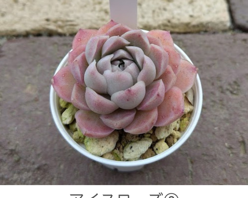 846c8eb22d117aa98dda8cae852322