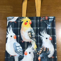 ご当地キティ 沖縄 ジンベイザメ キャンバストートバッグ 新品 ご当地キティ 沖縄 ジンベイザメ キャンバストートバッグ 新品