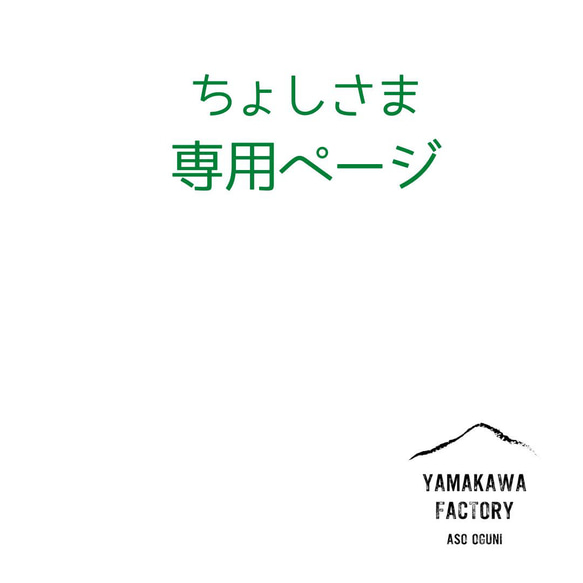 ちょしさま専用ページ 1枚目の画像