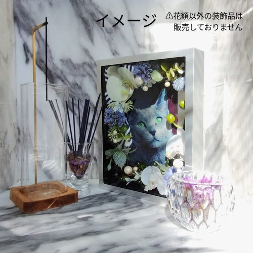 お悔み・虹の橋・フォトフレーム【遺影花額】No.36アストランティア