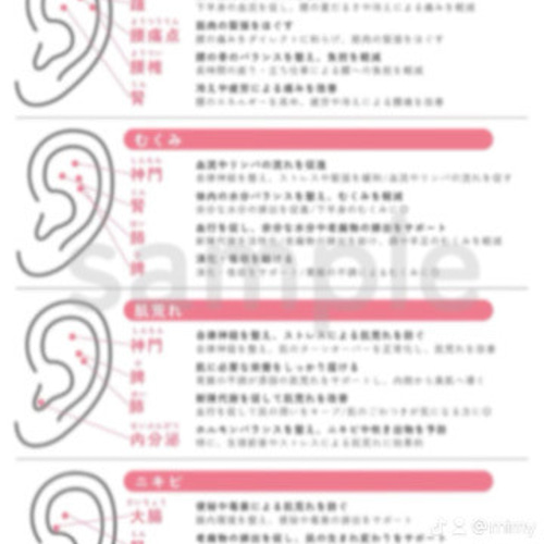 BP32:耳つぼ：臨床例60例集+チャート2+解説プリント（ジュエリー必須）プロ Amazon.co.jp: B5:で学ぶ耳つぼ療法+48例集専門書+チャート