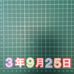  第4張的照片