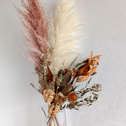 パンパスグラス ドライフラワー 楽天市場】ドライフラワー 花材 即日出荷 フェザーパンパス 〇