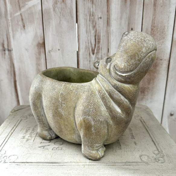 カバ ヒポ 植木鉢 鉢 セメント プランター 多肉植物 寄せ植え