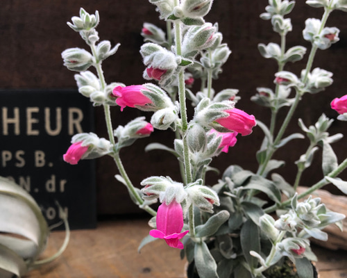 6b0a7852843e9883a3a1859b6c6070