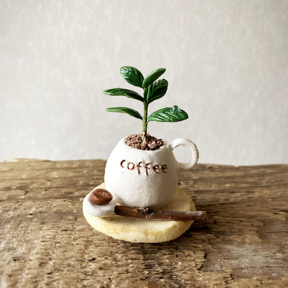 9452.［ゆりさま］bud 粘土の鉢植え コーヒーの木セット その他  