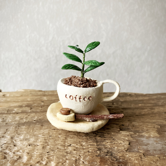 9455.［ゆりさま］bud 粘土の鉢植え コーヒーの木セット その他  