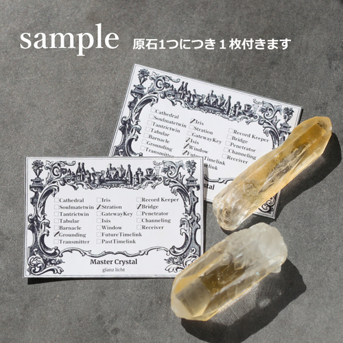 ヴィジョンクォーツ 水晶 天然石 希少 鉱物 お守り ゼッカデソウザ産 ヴィジョンクォーツ 水晶 天然石 希少 鉱物 お守り ゼッカデソウザ産