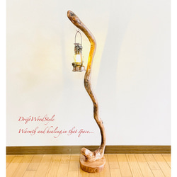 流木インテリア 芸術的で圧倒的な存在感を醸す流木スタンド ランタンやエアプラントを飾れる置物 北欧 照明 N85 8枚目の画像