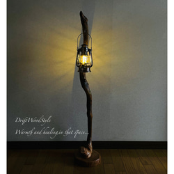 流木インテリア 芸術的で圧倒的な存在感を醸す流木スタンド ランタンやエアプラントを飾れる置物 北欧 照明 N85 6枚目の画像