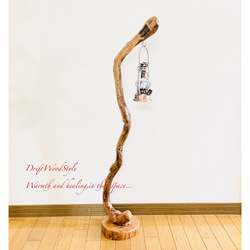 流木インテリア 芸術的で圧倒的な存在感を醸す流木スタンド ランタンやエアプラントを飾れる置物 北欧 照明 N85 3枚目の画像