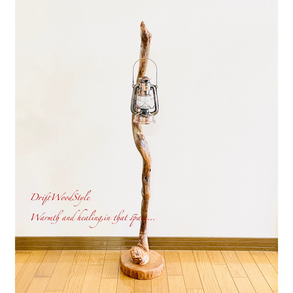 流木インテリア 芸術的で圧倒的な存在感を醸す流木スタンド ランタンやエアプラントを飾れる置物 北欧 照明 N85 7枚目の画像