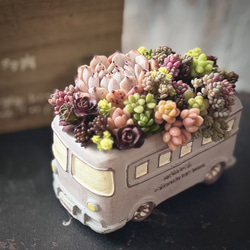 多肉植物☆寄せ植えリース 楽天市場】【エントリーで！プラスP5倍】多肉植物 寄せ植え おしゃれ