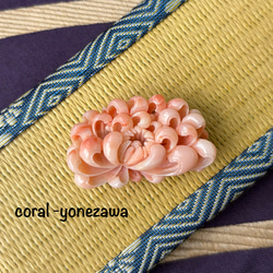 【激レア】本珊瑚　帯留　希少 激レア】本珊瑚帯留希少