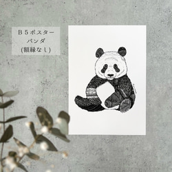 ＼まずはこちら！／日高あゆみのスターターセット(人気作品+新作ビニールポーチ) 3枚目の画像