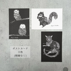 ＼まずはこちら！／日高あゆみのスターターセット(人気作品+新作ビニールポーチ) 4枚目の画像