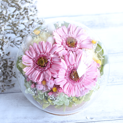 専用フラワーアレンジ　ガーベラ キュートなアレンジ PinkJewelry （ガーベラとアンスリュームの