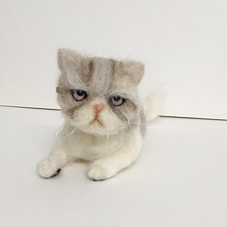 マンチカンの子猫＊羊毛フェルト＊猫＊子猫＊マンチカン＊ 羊毛