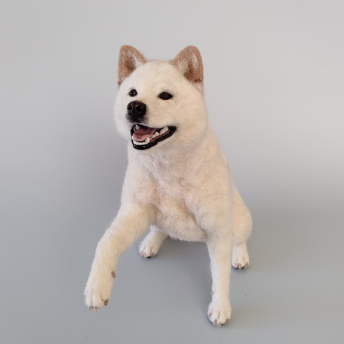 笑顔でお手する白柴さん 羊毛フェルト 羊毛わんこ 福や工房 通販