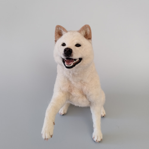 笑顔でお手する白柴さん 羊毛フェルト 羊毛わんこ 福や工房 通販