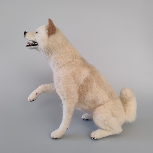 笑顔でお手する白柴さん 羊毛フェルト 羊毛わんこ 福や工房 通販